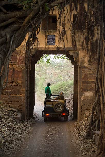Traveler exploring Ranthambore tour locations